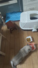 阿柴与猫宠物铝箔冰垫夏季凉窝凉垫子不发霉狗狗窝猫咪睡觉垫夏天降温神器 实拍图