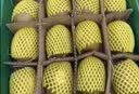 佳沛（zespri）新西兰阳光金奇异果10粒巨大果单果146-175g 猕猴桃水果礼盒 实拍图