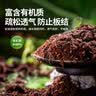 史丹利营养土养花通用型家用多肉兰花专用土壤种植土花土10L 实拍图