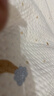康佳（KONKA）电风扇家用风扇立式摇头落地扇遥控节能轻音小风扇卧室空气循环扇换气扇交流定频电扇KF-LY21D35 实拍图