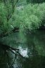 适马（SIGMA）28-70mm F2.8 DG DN｜Contemporary 全画幅无反 恒定大光圈标准变焦镜头直播 （L口） 实拍图
