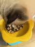 麦富迪冻干 猫咪零食猫冻干成幼猫营养解馋十全桶400g 实拍图