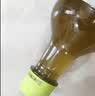 麒麟日本进口生茶绿茶无糖0脂0卡原味凉茶饮料525ml*24整箱 实拍图