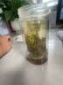 湘信翼（XIANGXINYI）【张家界莓茶】莓茶芽尖藤茶霉茶可搭茅岩莓龙须藤茶送长辈养生 250g×1袋【自用实惠装】 实拍图