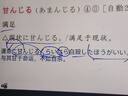 日语红蓝宝书系列 红宝书大全集 新日本语能力考试N1-N5文字词汇详解（超值白金版  最新修订版）赠音频 实拍图