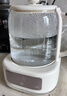 九阳（Joyoung）养生壶迷你家用全玻璃煮茶器 轻音炖煮办公室0金属0胶水恒温800W大功率烧水壶WY-PR2105（1L） 实拍图