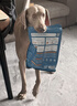 纯福通用型金毛拉布拉多边牧中大型犬幼犬成犬专用酶解冻干狗粮囤货装 中大型犬粮12.5kg【5包囤货装】 实拍图
