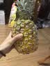 佳农菲律宾进口菠萝2个装 凤梨 单果净重2斤 源头直发 生鲜水果 包邮 实拍图