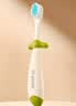 世喜儿童牙刷1-2一3岁婴幼儿宝宝专用软毛口腔清洁训练乳牙刷2支装 实拍图