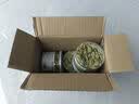 网易严选 猫用薄荷小鱼饼干 吐毛球逗猫零食奖励洁齿磨牙零食 【原味三文鱼】 95g*3罐 实拍图