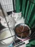 好主人金装好主人猫粮2.0 成猫幼猫蓝猫英短通用全价无谷冻干 【量贩优惠】金装幼猫粮7斤 实拍图