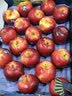 苹果先生Mr Apple新西兰Dazzle丹烁苹果20粒礼盒单果180-220g 源头直发 实拍图