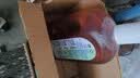 滴露（Dettol）消毒液洗衣衣物消毒水750mL 除螨杀菌混洗无忧 家居地板消毒 非84 实拍图