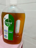 滴露（Dettol）消毒液洗衣衣物消毒水750mL 除螨杀菌混洗无忧 家居地板消毒 非84 实拍图