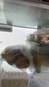 佳沛（zespri）新西兰 阳光金奇异果30-33粒原箱单果103-124g 猕猴桃水果礼盒 实拍图