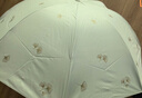 天堂伞伞太阳伞防晒防紫外线遮阳伞户外伞晴雨两用便携雨伞男女 银杏叶-粉绿 实拍图