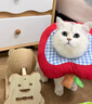 HELLOJOY逗猫咪玩具自嗨解闷猫抓板幼猫爪板小猫抓球耐抓不掉屑耐磨猫爬架 实拍图