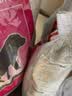 皇家狗粮 幼犬狗粮 犬粮 通用犬型 A3 通用粮 2-12月 8KG 实拍图