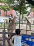 爱仕达（ASD） 平底锅煎锅不粘锅厨房不沾早餐牛排煎蛋锅少油烟煎锅多尺寸可选 【无盖】燃气明火专用 24cm 实拍图