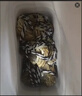 【活蟹】阳澄帝 大闸蟹鲜活  现货特大螃蟹公蟹母蟹精品礼盒装 精品六月黄3.0-3.3两  8只装 实拍图