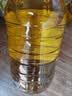 福临门葵花籽食用植物调和油5L*4 整箱发货 实拍图