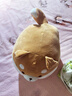 名创优品（MINISO）趣味阿柴弹力超柔趴姿公仔毛绒玩偶儿童玩具抱枕靠枕生日礼物女 实拍图