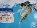 GUO LIAN国联盐冻大虾净重3斤75-90只 50/60 南美白对虾生鲜海鲜 实拍图