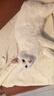 呢咔Neeka呢咔零食猫条宠物猫咪营养猫粮金枪鱼鸡肉增肥猫犬通用新品 混合口味 呢咔猫条30支【巨实惠】 实拍图