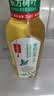 农夫山泉东方树叶茉莉花茶500ml*15瓶无糖茶饮料0糖0脂0卡整箱装 实拍图