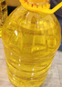 金龙鱼 食用油 葵花籽清香型食用植物调和油5L*4 实拍图