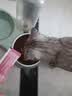 帕洛尼【帕洛尼猫粮】帕罗尼营养长肉高适口性高蛋白鲜肉主粮官方正品 1袋猫粮 多送【10元=营养猫条*5】 实拍图