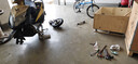 朝阳轮胎3.00-10真空胎14X2.50/2.75电动车电瓶车胎防爆胎钢丝胎 3.00-10朝阳8层【缺气保用】防爆胎H892 实拍图