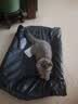 【京东快递】猫抓板磨爪猫窝椭圆形猫抓盆猫抓板巨大耐磨特大号 椭圆65cm巨无霸更大更宽【随机花边】 下单送猫薄荷 实拍图