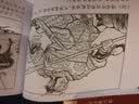 西汉演义绘画本(套装1-17册)/函装蓝皮书 实拍图