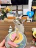 阿飞和巴弟猫条猫零食纯条桶猫咪零食混合口味15g*48支 实拍图