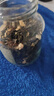 京华12号特级六窨茉莉花茶浓香型老北京特色花茶茶叶自己喝口粮茶250g 12号茉莉花茶250g*1袋 实拍图