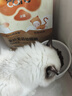 好主人金装好主人猫粮2.0 成猫幼猫蓝猫英短通用全价无谷冻干 【量贩优惠】金装幼猫粮7斤 实拍图