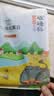 硃碌科有机黑豆 东北绿芯黑豆富含蛋白黑大豆3斤 打豆浆无染色东北大豆 实拍图