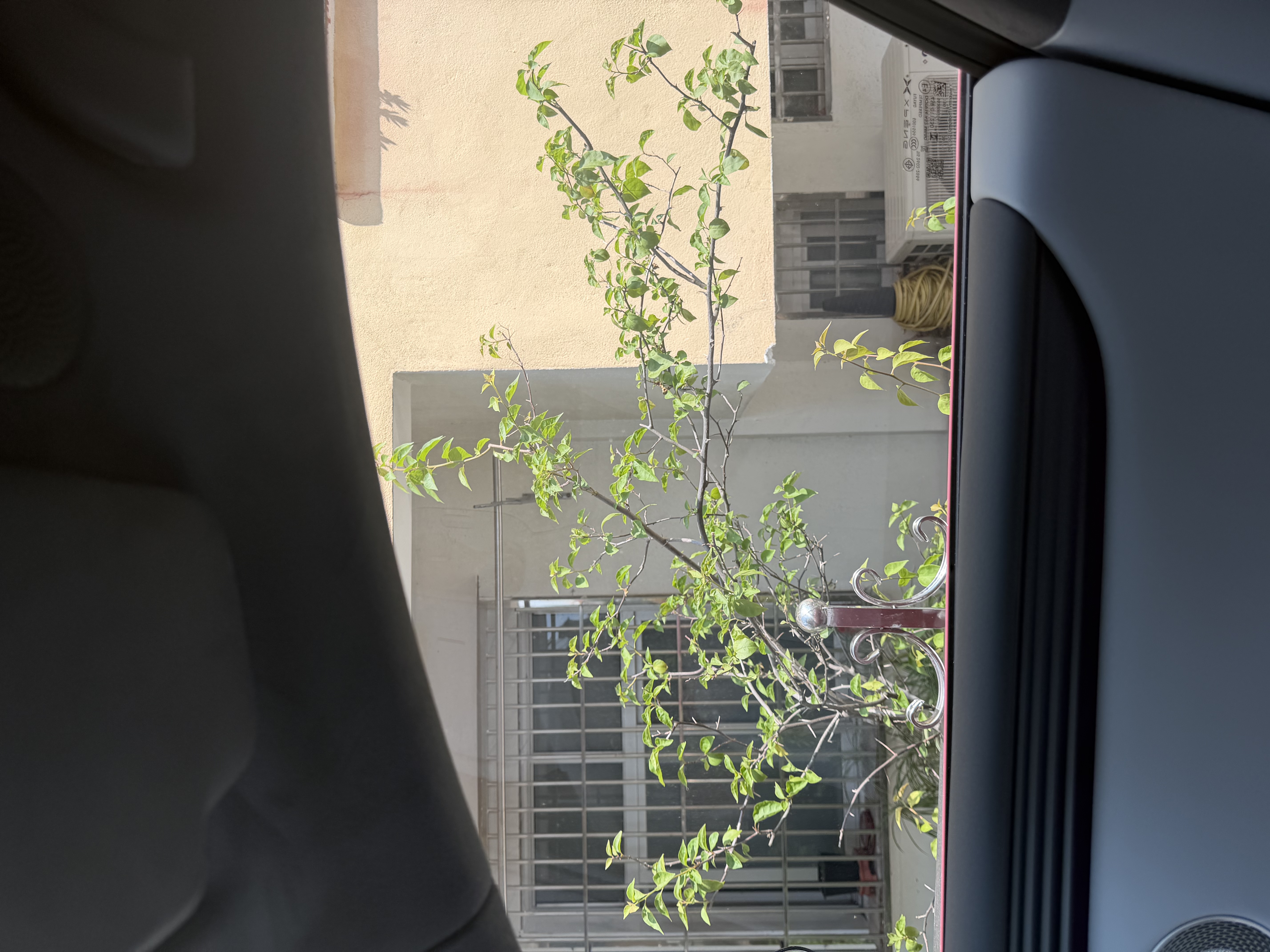京东京造【销量第一】全车玻璃窗贴膜(轿车款-前浅后深)陶瓷膜 整车防晒隔热防爆太阳隐私汽车玻璃膜 实拍图