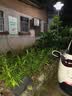 公牛随车充便携式充电枪器3.5kw家用适配于理想特斯拉大众比亚迪小米极氪问界m8小鹏星愿新能源汽车 【新国标3C认证】3.5kW小劲风SE-10米 实拍图