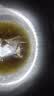 奥克斯（AUX）电炒锅铸铁无涂层一体多功能插电锅炒菜专用物理不粘电热锅大容量炖蒸煮煎电蒸锅家用电锅电火锅 定时款-36CM单笼【推荐7-9人】12L 实拍图