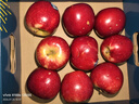 苹果先生 Mr Apple新西兰Dazzle丹烁苹果9粒礼盒送礼袋单果180g起源头直发 实拍图