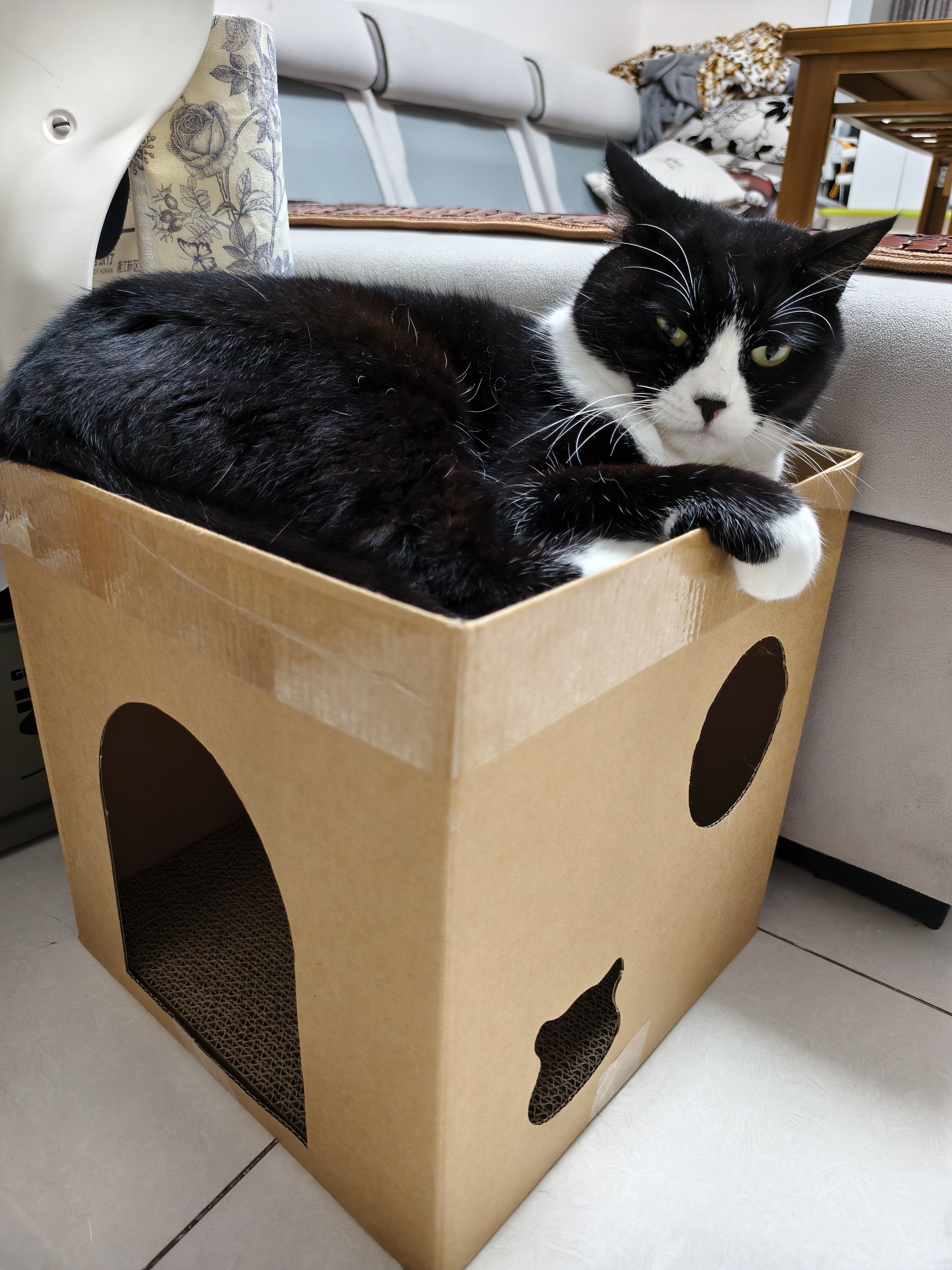 HELLOJOY猫抓板猫窝一体耐抓耐磨不掉屑大号双层瓦楞纸箱屋沙发磨爪猫玩具 实拍图