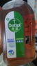 滴露（Dettol）消毒液洗衣衣物消毒水750mL 除螨杀菌混洗无忧 家居地板消毒 非84 实拍图