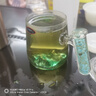平利绞股蓝养生茶饮【特5A】精选七叶绞股蓝龙须茶250克送父母长辈滋补健康 实拍图