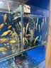 马勒机油滤芯机滤OX822D(汉兰达凯美瑞RAV4 2.5/7.5代凯美瑞2.0新皇冠 实拍图