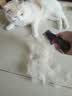 富美内特（FURminator）梳子猫咪去浮毛底绒梳开结梳猫毛梳美短英短暹罗美毛短毛猫大号 实拍图