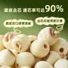 十月稻田 莲子 400g 湘潭产去芯磨皮白莲子 桂圆百合银耳羹煲汤食材 实拍图