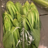上海青约500g(油菜) 实拍图