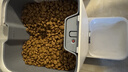 冠能猫粮室内成猫猫粮10kg 全价猫粮 添加膳食纤维 控制毛球 实拍图